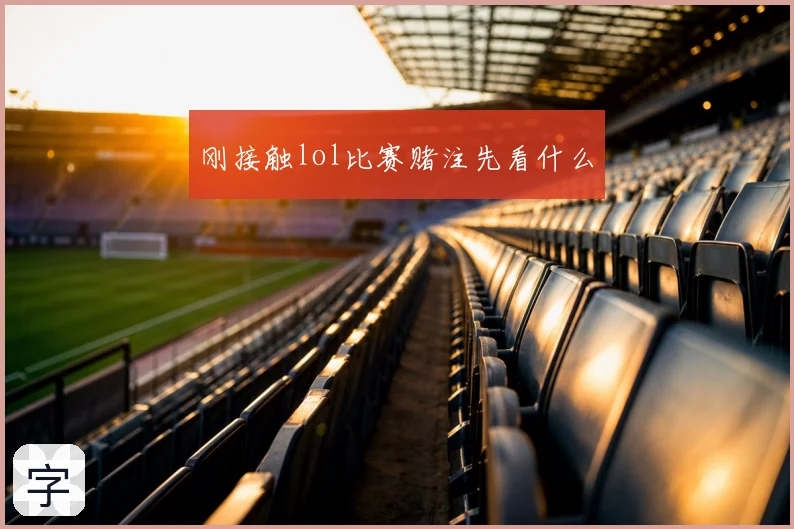 刚接触lol比赛赌注先看什么